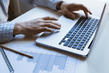 Curso nuevo